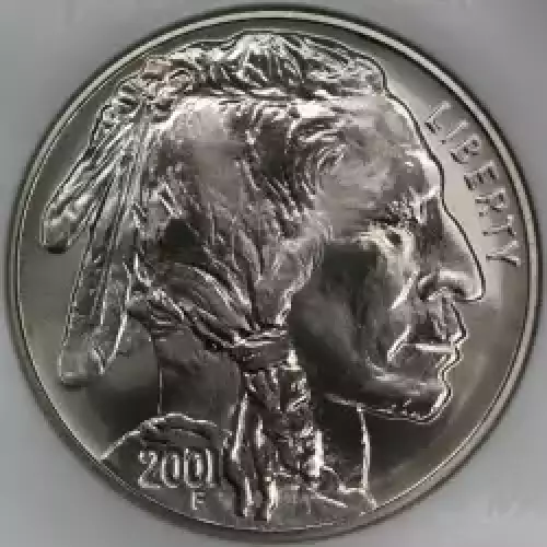 2001 BUFFALO  (3)