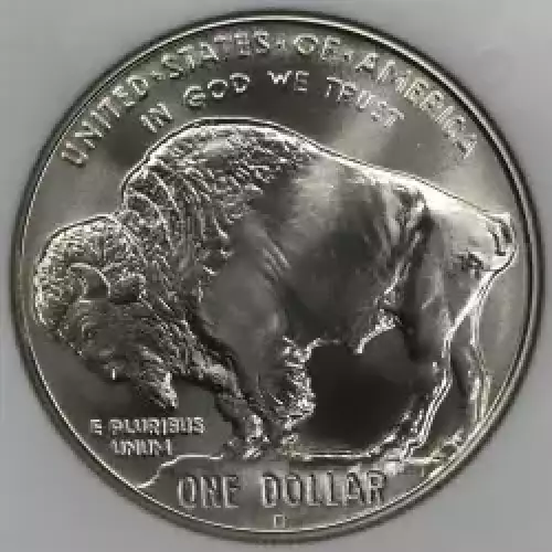 2001 BUFFALO  (4)