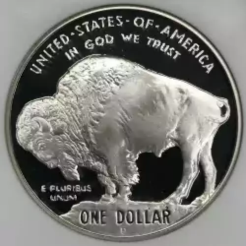 2001 BUFFALO ULTRA CAMEO (3)