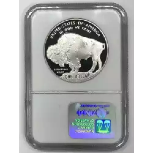 2001 BUFFALO ULTRA CAMEO (2)