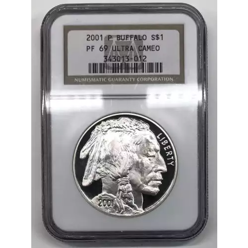 2001 BUFFALO ULTRA CAMEO (3)
