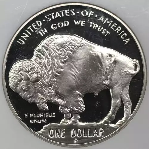 2001 BUFFALO ULTRA CAMEO