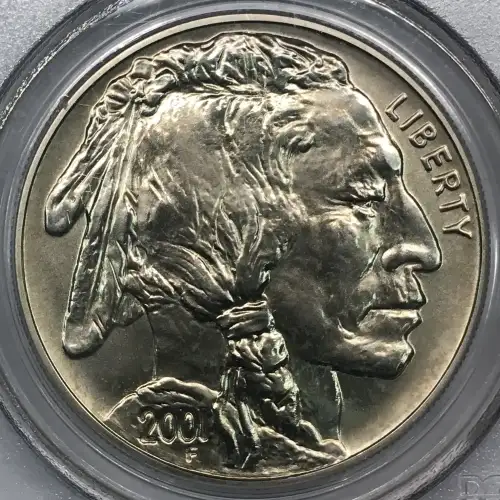 2001-D $1 Buffalo (2)