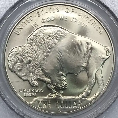 2001-D $1 Buffalo (4)