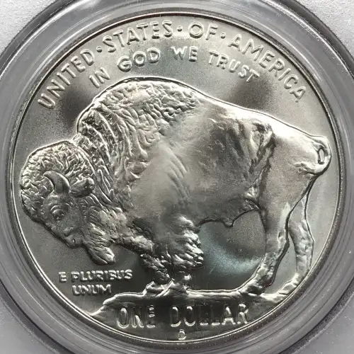 2001-D $1 Buffalo (3)