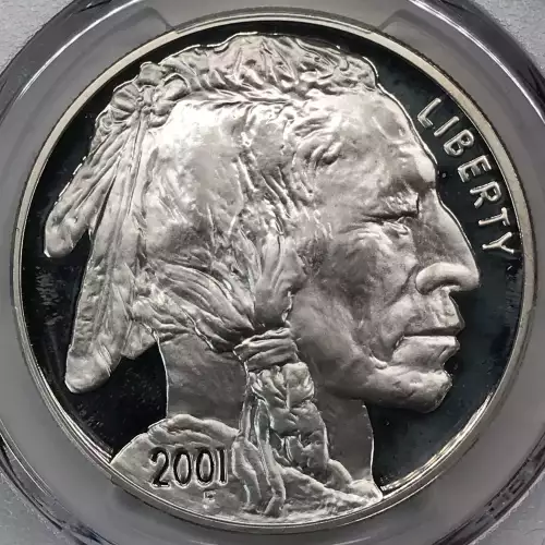 2001-P $1 Buffalo, DCAM (3)
