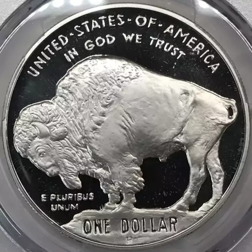 2001-P $1 Buffalo, DCAM (5)