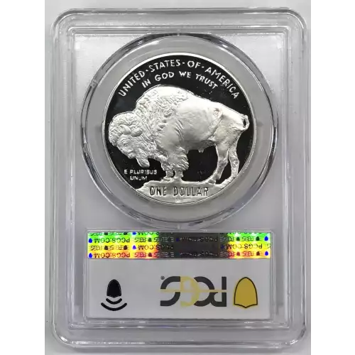 2001-P $1 Buffalo, DCAM (4)