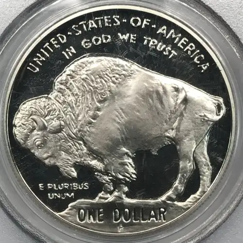 2001-P $1 Buffalo, DCAM