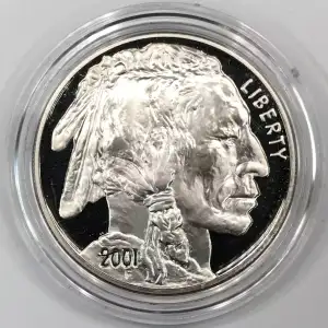 2001-P American Buffalo Proof Silver Dollar - Coin Only