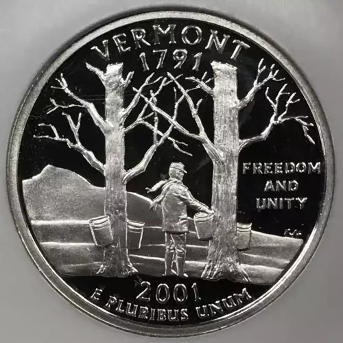 2001 S VERMONT ULTRA CAMEO (2)