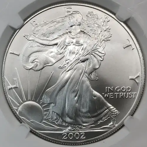 2002 Early Production Struck in 2001 (5)