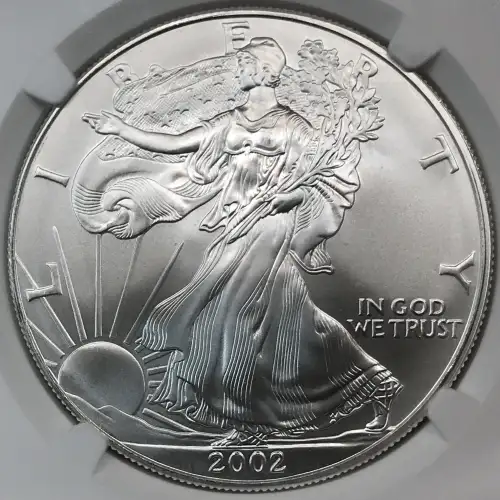 2002 Early Production Struck in 2001 (3)