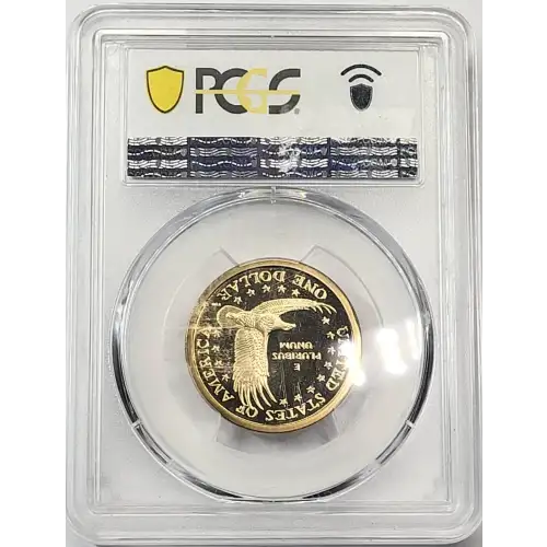 2002-S SAC$1, DCAM (2)