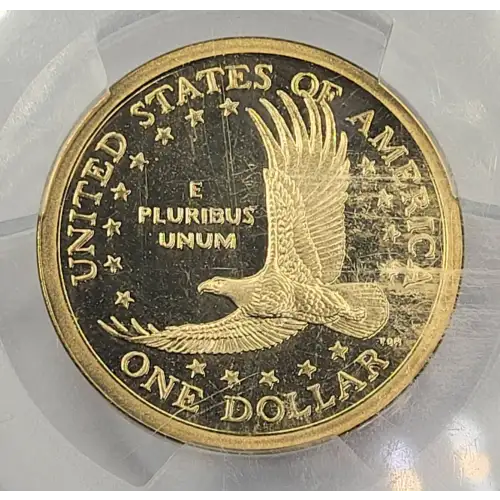 2002-S SAC$1, DCAM (3)