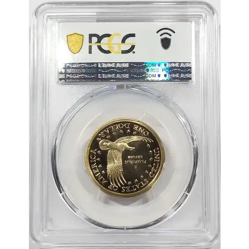 2002-S SAC$1, DCAM (4)