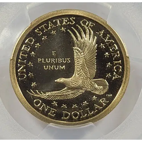 2002-S SAC$1, DCAM (2)