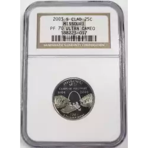 2003 S MISSOURI ULTRA CAMEO (4)