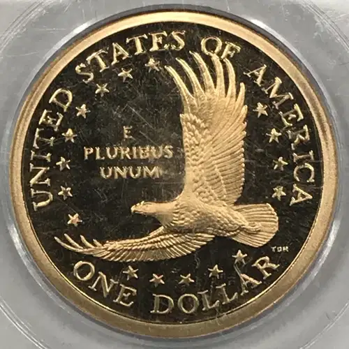 2004-S SAC$1, DCAM