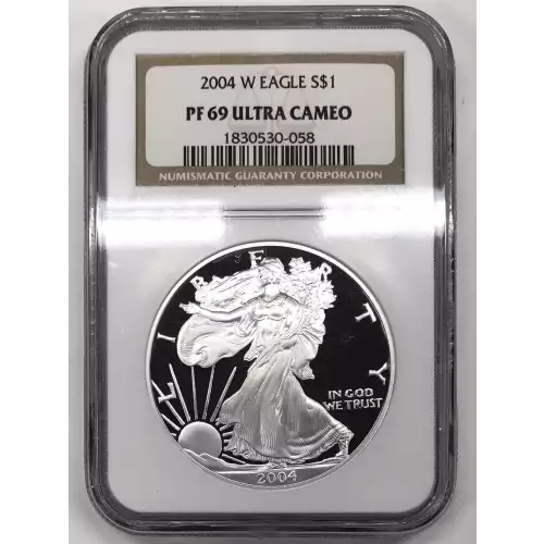 2004 W  ULTRA CAMEO (2)