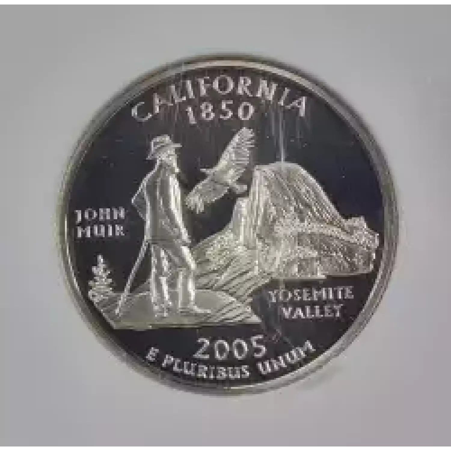 2005 S CALIFORNIA ULTRA CAMEO (2)
