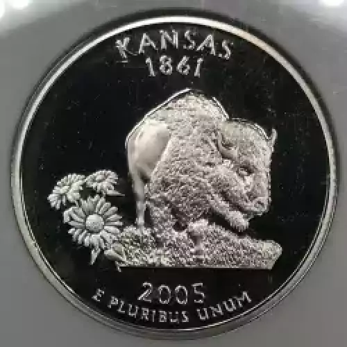 2005 S KANSAS ULTRA CAMEO