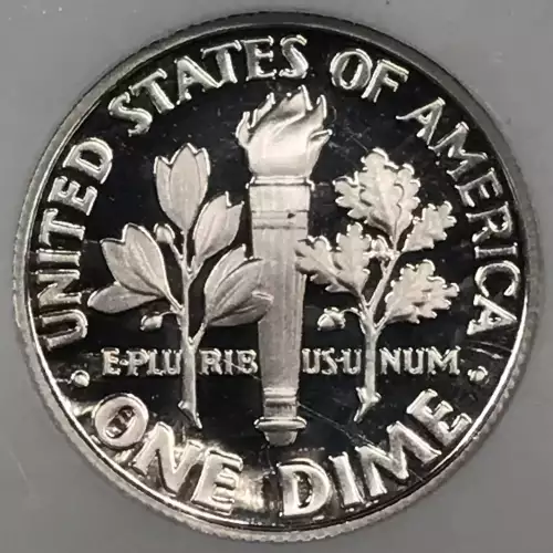 2005 S  ULTRA CAMEO (4)
