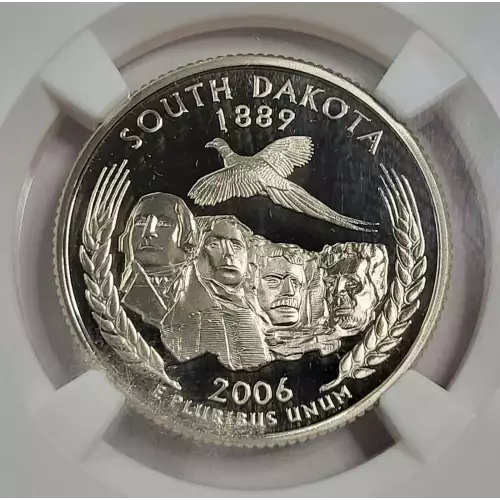 2006 S SOUTH DAKOTA ULTRA CAMEO (2)