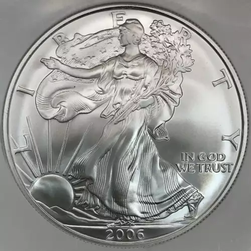 2006 W 20TH ANNIVERSARY SET BURNISHED SILVER EAGLE OFFICIAL US MINT SET  (4)