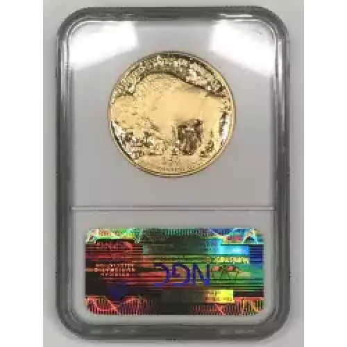 2006 W .9999 FINE ULTRA CAMEO (4)