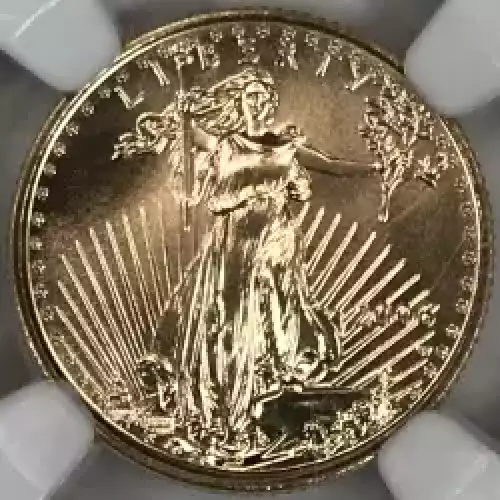 2006 W BURNISHED GOLD EAGLE  (5)