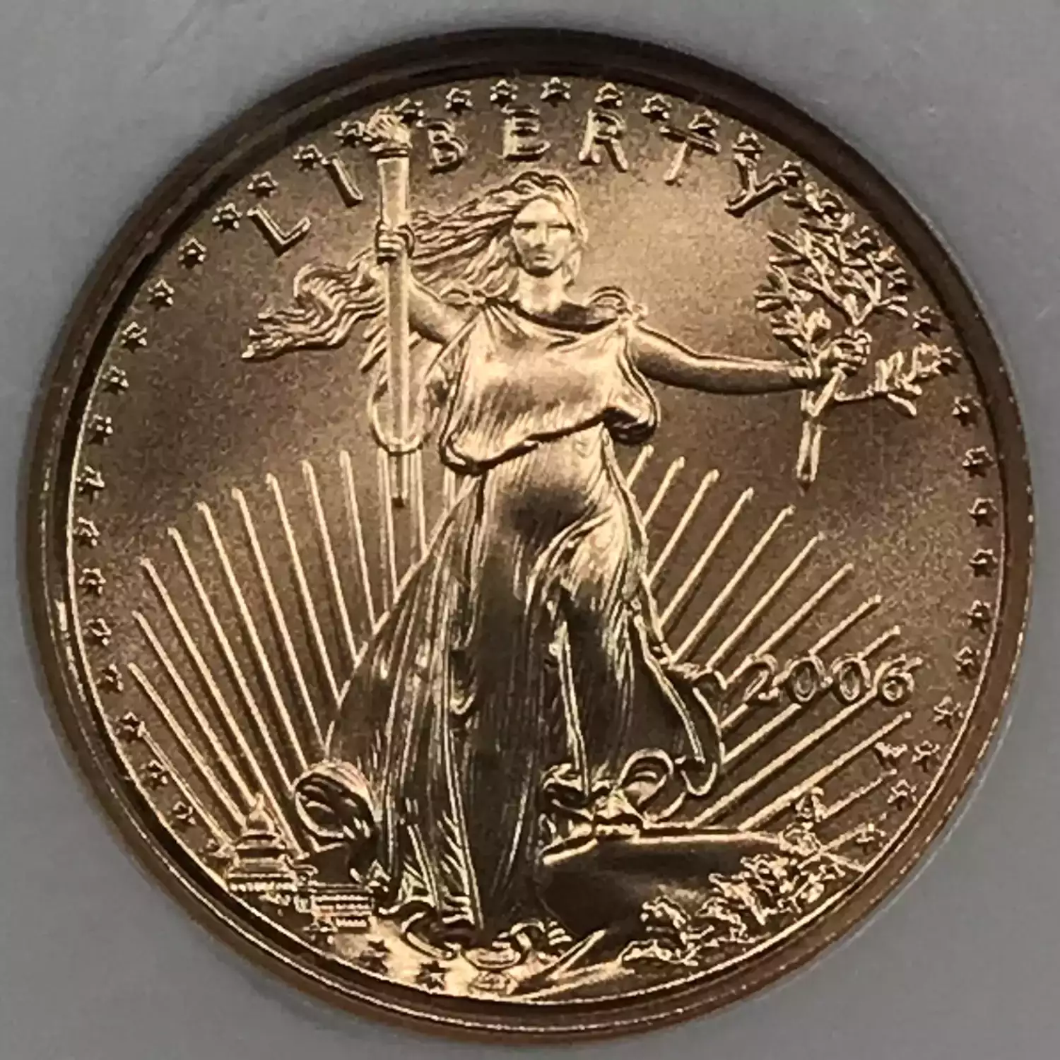 2006W 1/10 oz 5 Gold Eagle NGC MS70 BURNISHED EARLY RELEASES Old