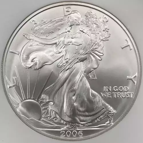 2006 W BURNISHED SILVER EAGLE  (4)