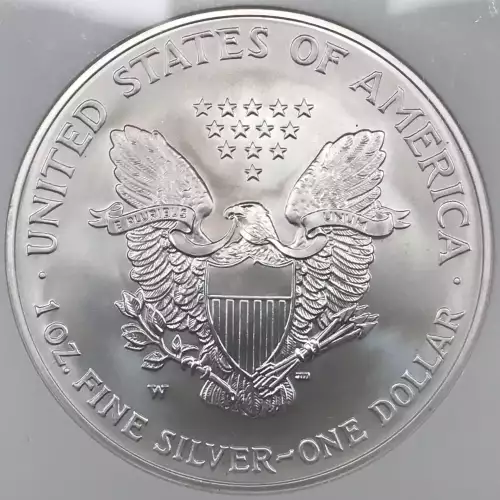 2006 W BURNISHED SILVER EAGLE  (2)