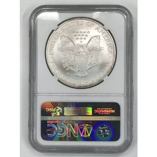 2007 W BURNISHED SILVER EAGLE  (2)