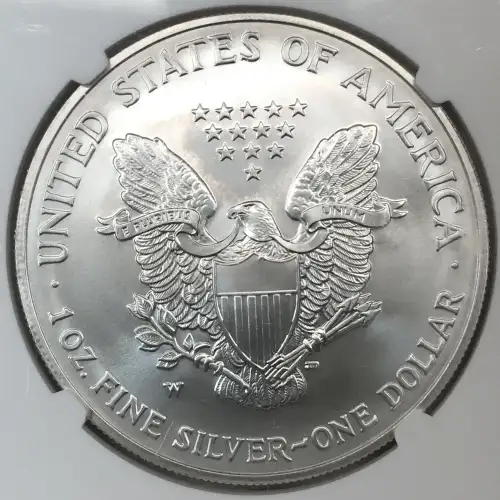 2007 W BURNISHED SILVER EAGLE (4)