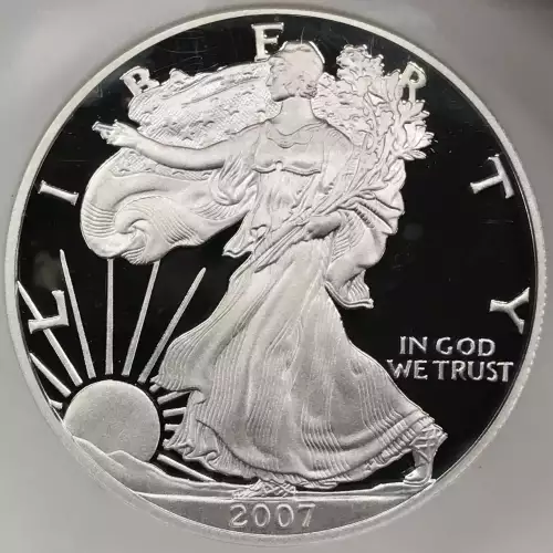 2007 W  ULTRA CAMEO (3)