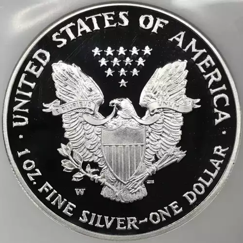 2007 W  ULTRA CAMEO (4)