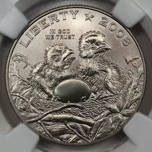 2008 BALD EAGLE  (2)