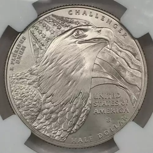 2008 BALD EAGLE  (3)