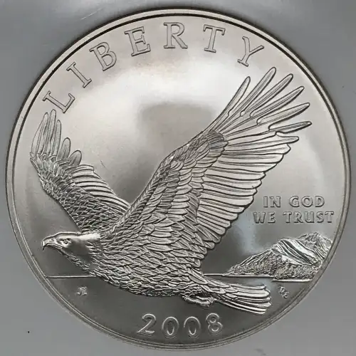 2008 BALD EAGLE (2)