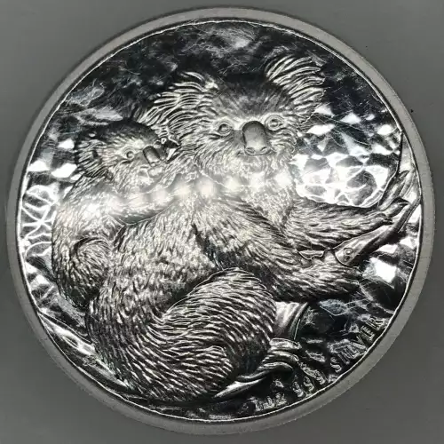 2008 KOALA 