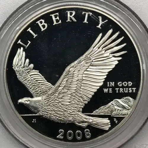 2008-P $1 Bald Eagle, DCAM