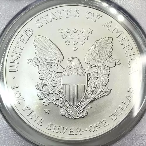 2008-W $1 Burnished Eagle, Rev '07 First Strike