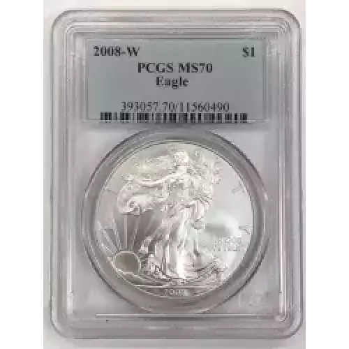 2008-W $1 Burnished Silver Eagle (7)