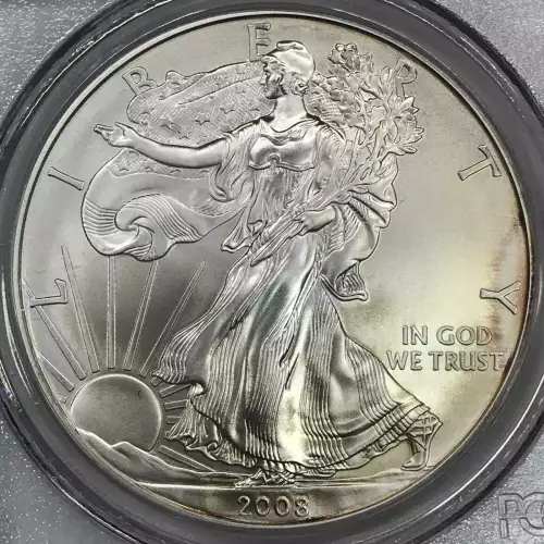 2008-W $1 Burnished Silver Eagle (3)