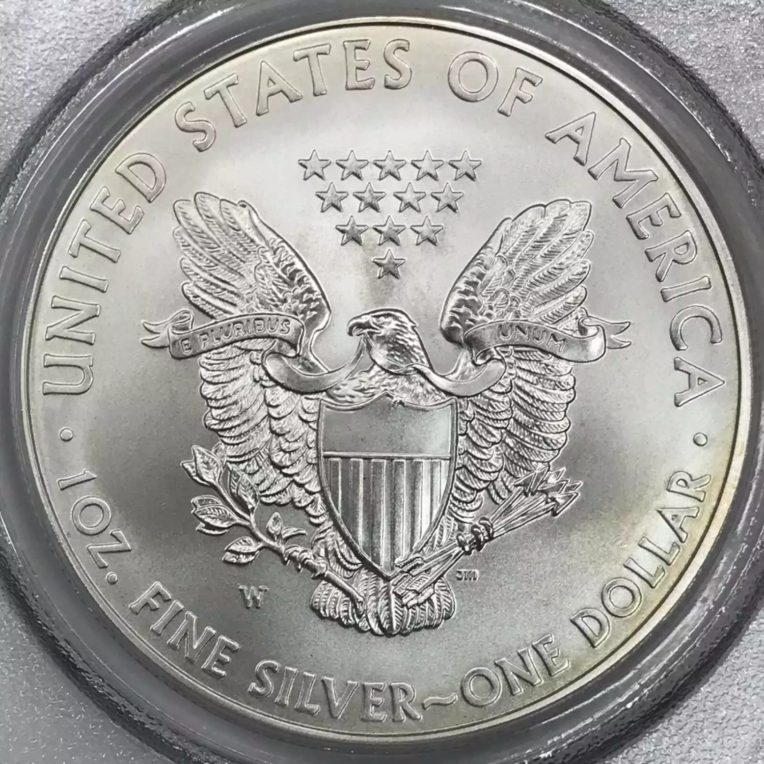 2008-W $1 Burnished Silver Eagle (4)