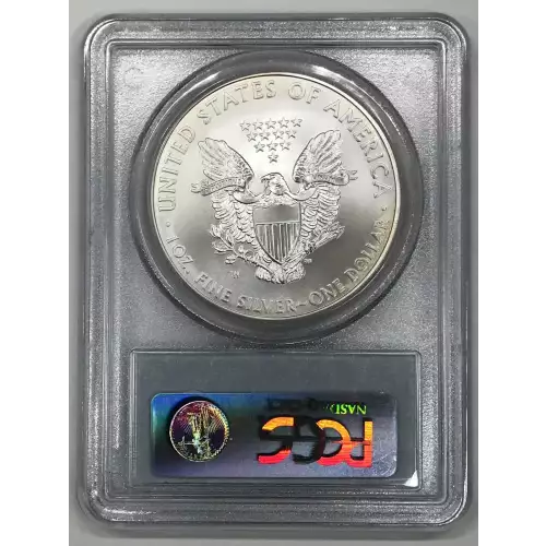 2008-W $1 Burnished Silver Eagle (2)