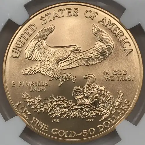 2008 W BURNISHED GOLD EAGLE (4)