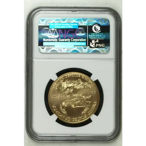 2008 W BURNISHED GOLD EAGLE (5)